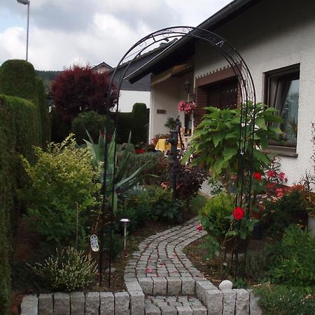 Ferienwohnung Anna Scheid 克尔贝格 外观 照片