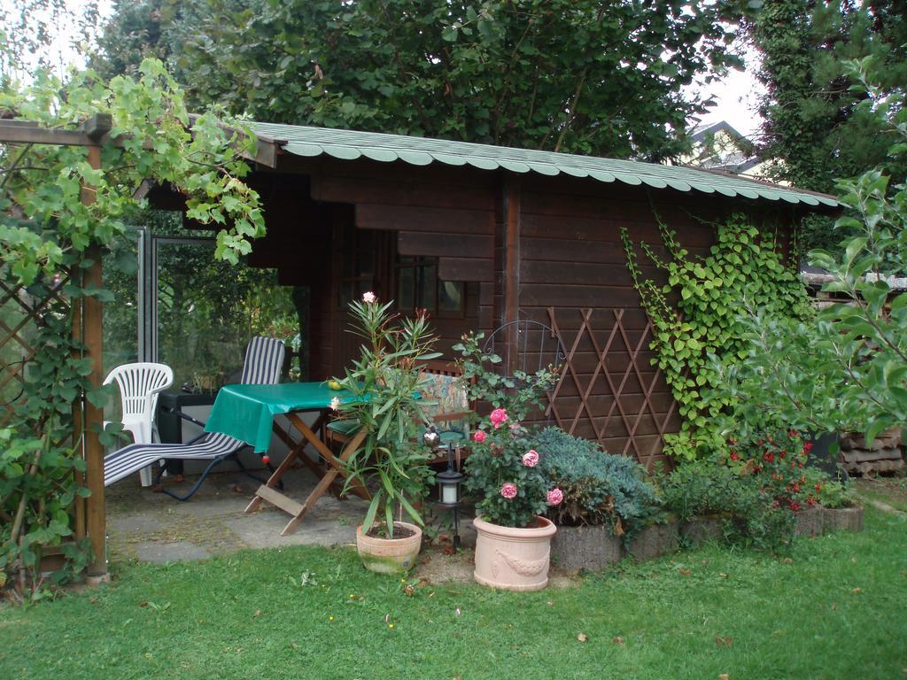 Ferienwohnung Anna Scheid 克尔贝格 外观 照片